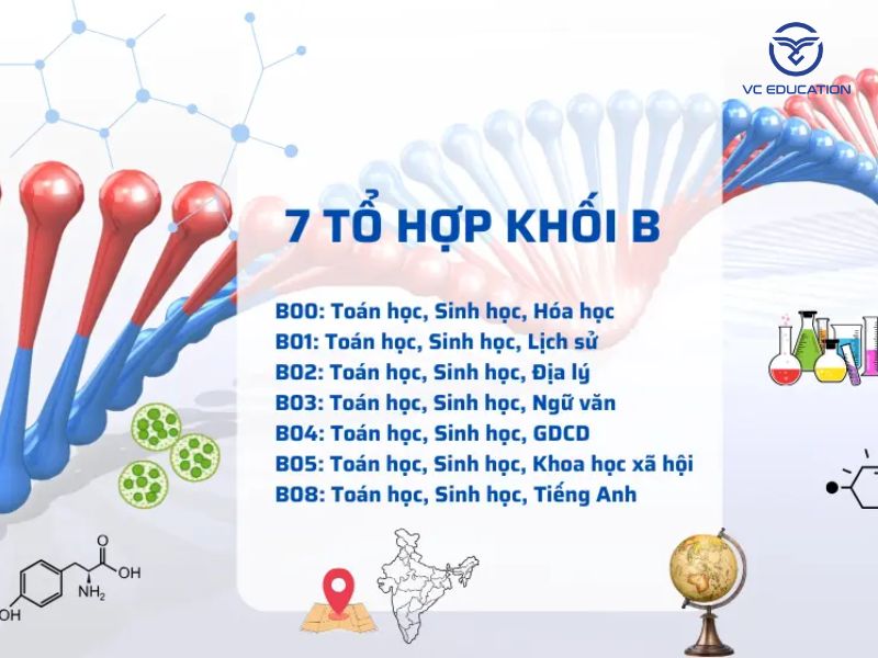 Học khối B làm nghề gì có tiềm năng nhất 2025?