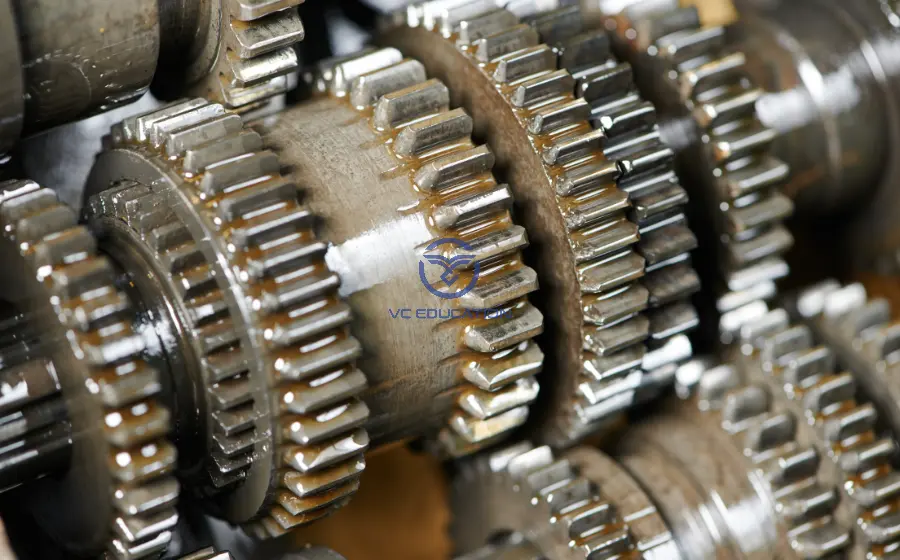 bo-truyen-banh-rang-1