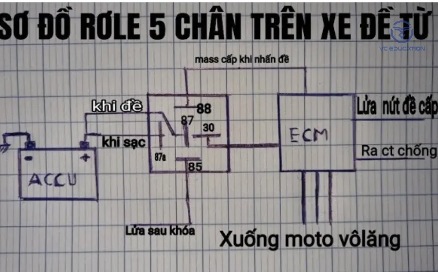 huong-dan-kiem-tra-ro-le-5-chan-moi-nhat-2
