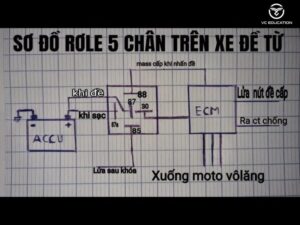 Hướng Dẫn Toàn Diện Cách Kiểm Tra Rơ-le 5 Chân (Mới Nhất 2024)