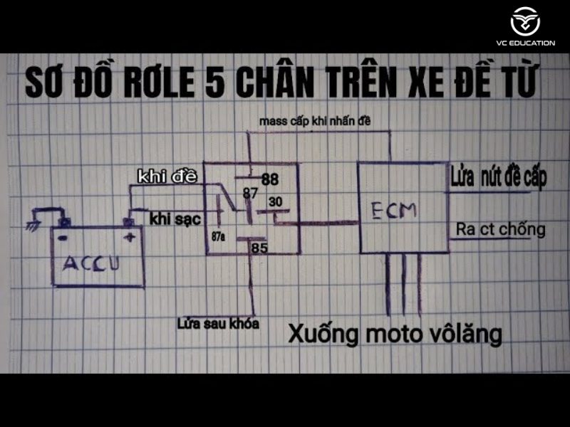 Hướng Dẫn Toàn Diện Cách Kiểm Tra Rơ-le 5 Chân (Mới Nhất 2024)