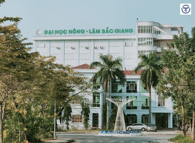 Địa chỉ học sửa chữa ô tô Bắc Giang