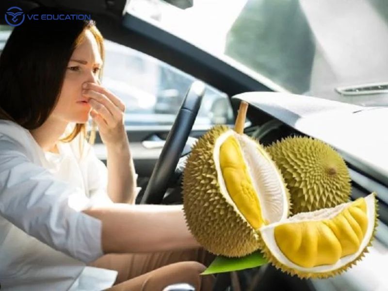 Cách khử mùi sầu riêng trên xe ô tô hiệu quả nhất