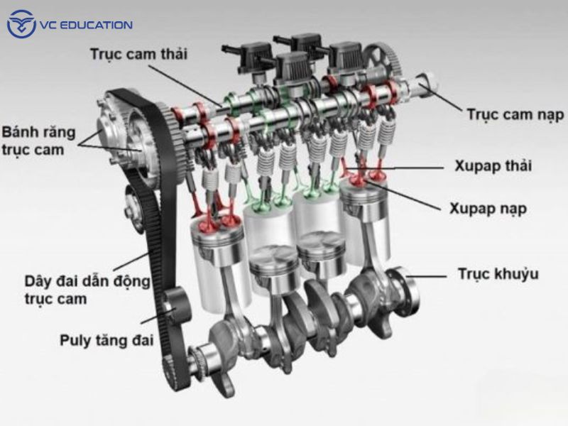 Cấu Tạo Chi Tiết Của Hệ Thống Phân Phối Khí