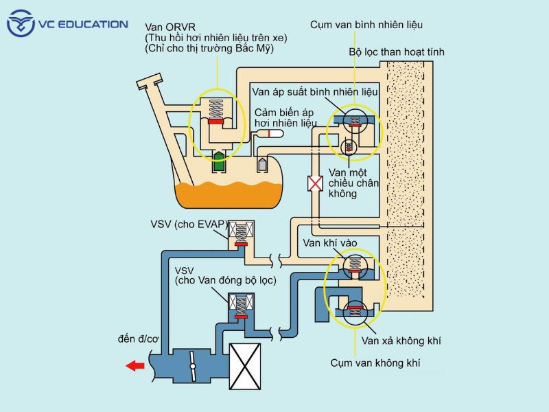 Nguyên Lý Hoạt Động của Hệ Thống EVAP