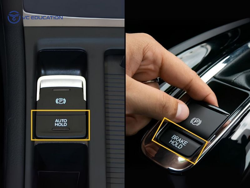 Auto Hold Là Gì?