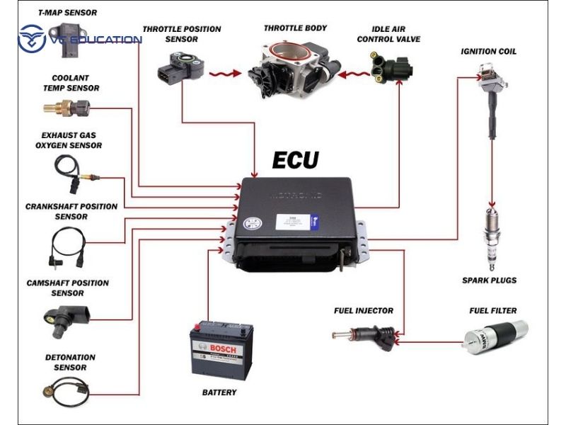 Các Bộ Phận Chính Của Hệ Thống EFI