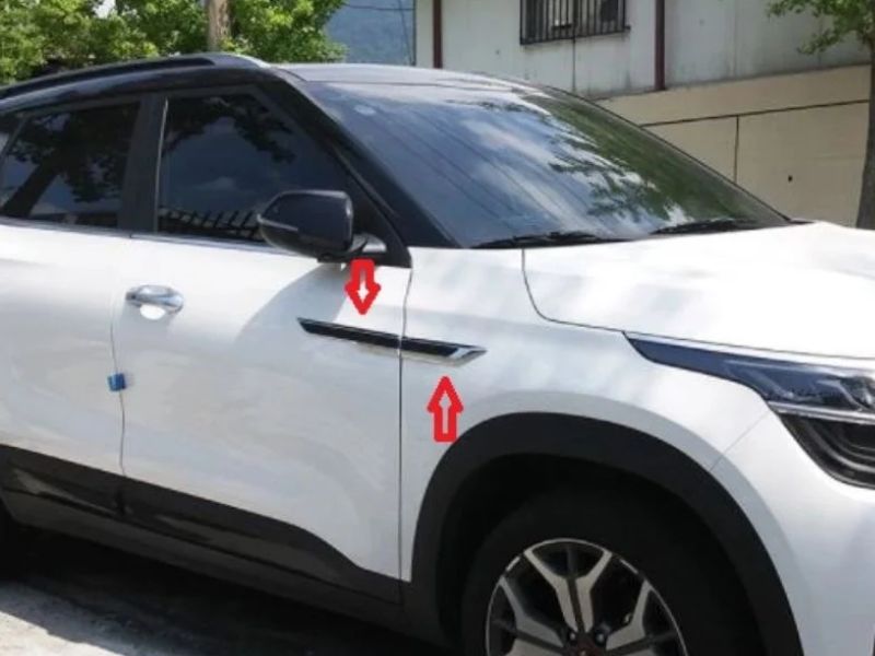 Các Loại Mang Cá Ô Tô Phổ Biến