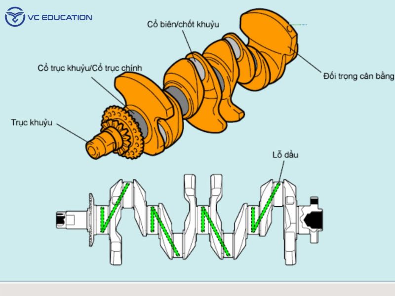 Cấu Tạo Chi Tiết Của Trục Khuỷu