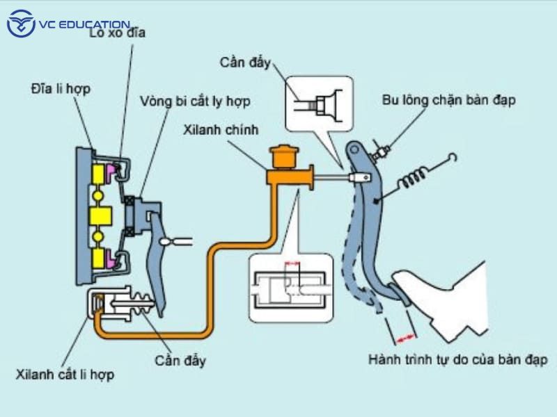 Cấu Tạo Và Nguyên Lý Hoạt Động Của Hệ Thống Ly Hợp (Chân Côn)