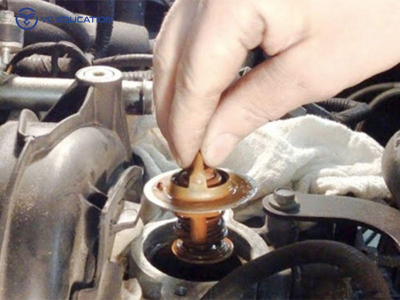 Dấu Hiệu Và Nguyên Nhân Khi Đáy Tắc Te Gặp Trục Trặc