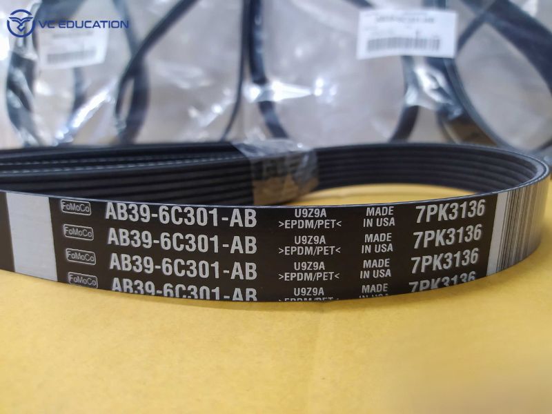 Dây Curoa Tổng (Serpentine Belt)