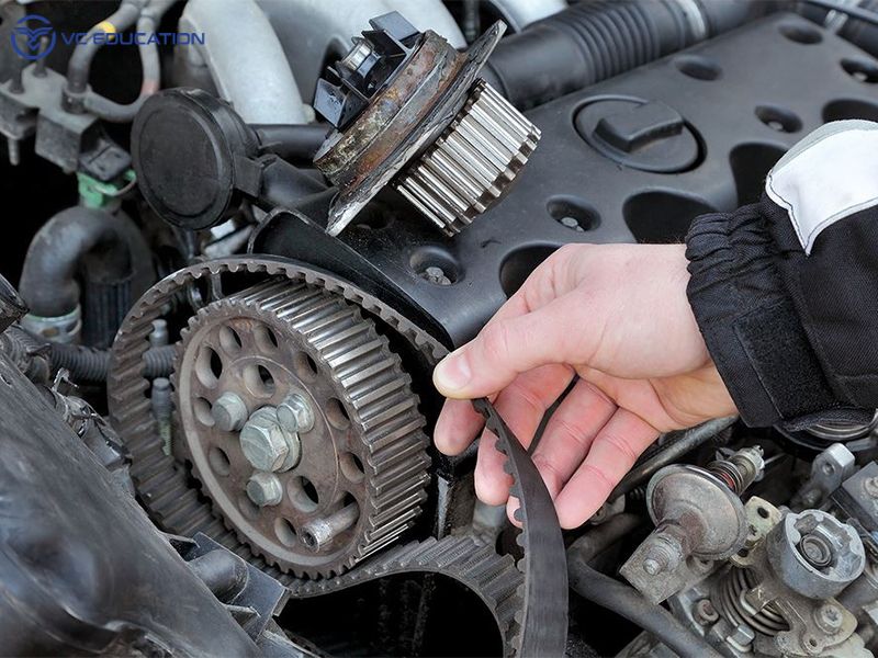 Dây curoa là gì? Phân loại và dấu hiệu hư hỏng thường gặp.