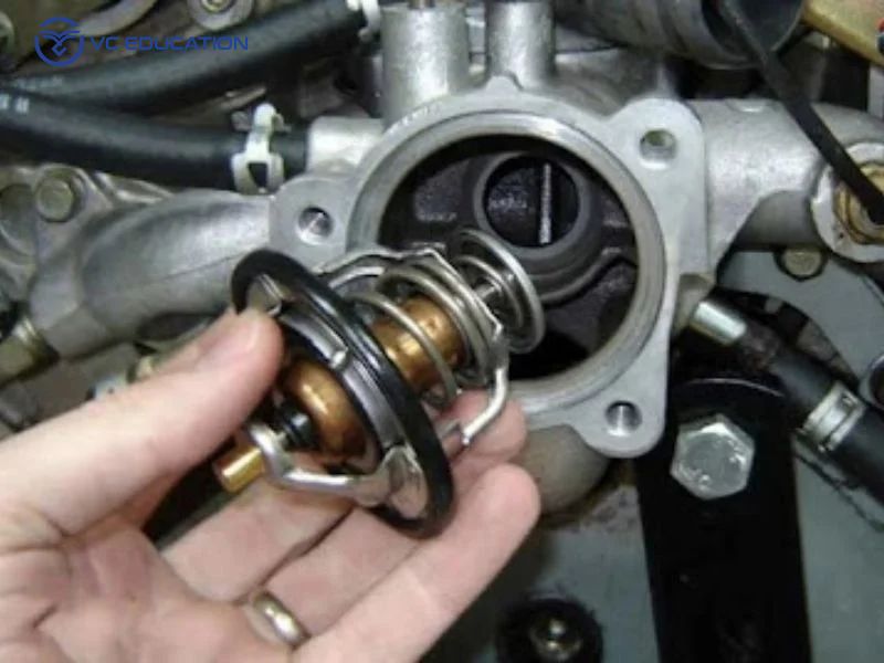 Đáy tắc te là gì? Cấu tạo, nguyên lý và dấu hiệu hỏng hóc