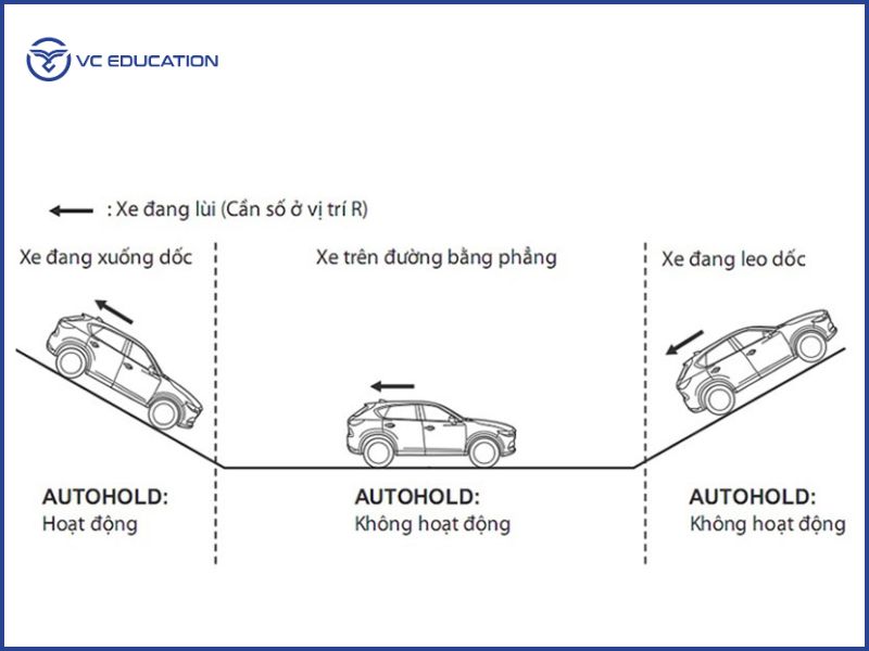 Nguyên Lý Hoạt Động Của Hệ Thống Auto Hold