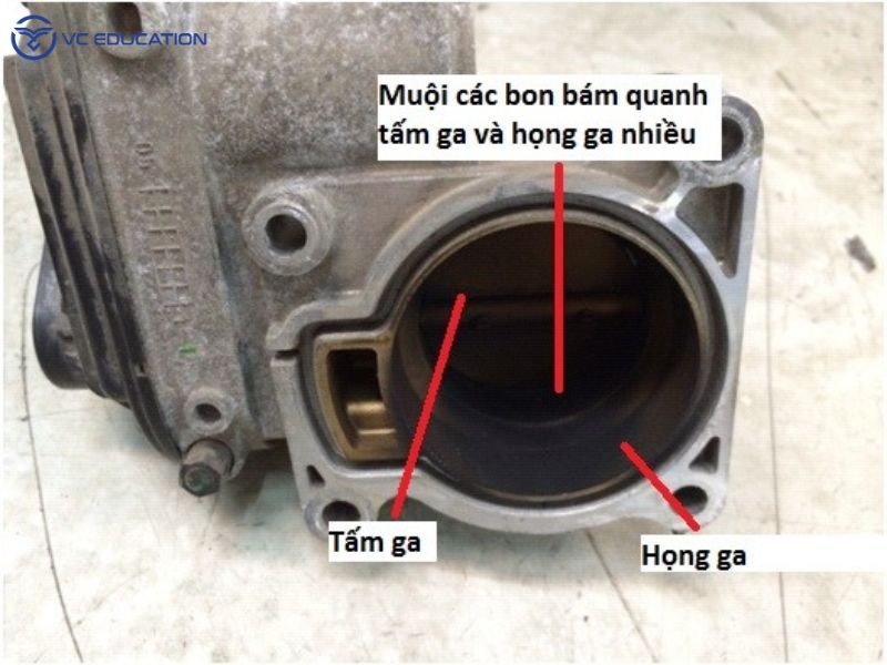 Nguyên Nhân Gây Hỏng Bướm Ga Phổ Biến
