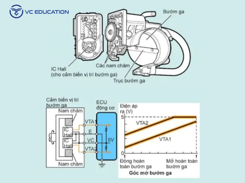 Cấu Tạo Của Cảm Biến Bướm Ga