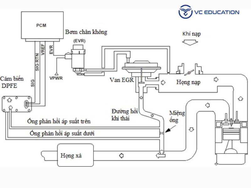 Cấu Tạo Và Nguyên Lý Hoạt Động