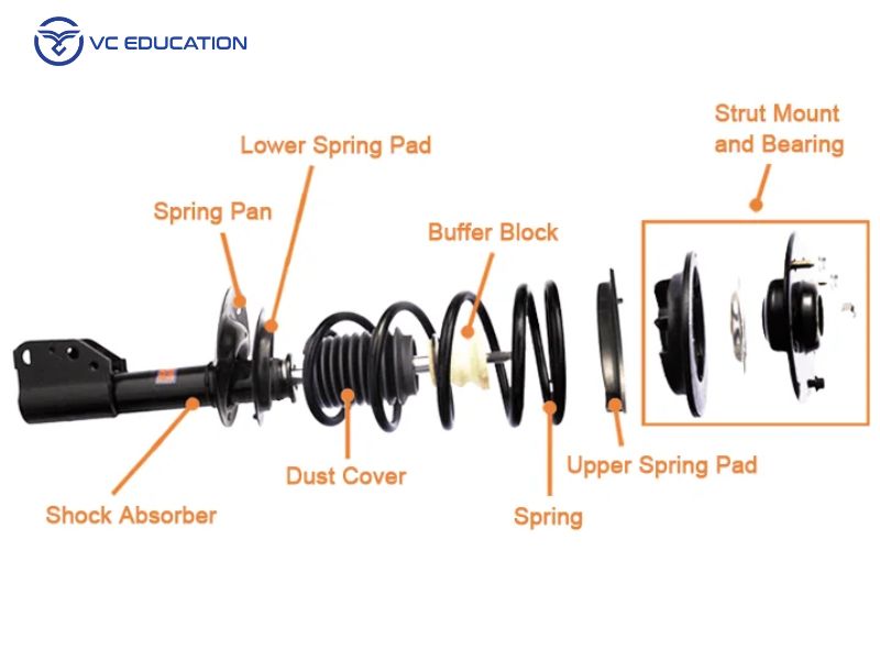 Cấu tạo cơ bản
