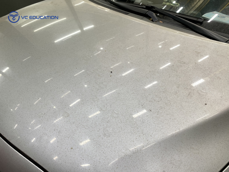 Nhựa cây dính trên ô tô