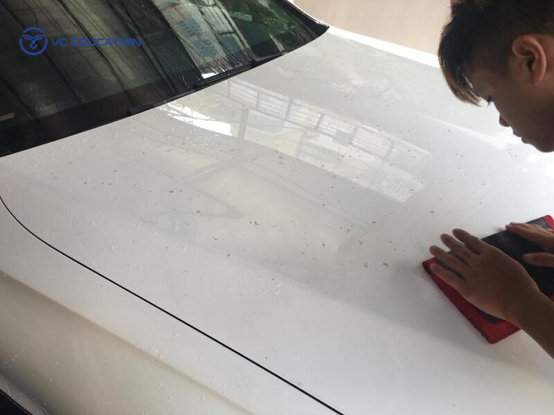 Tẩy nhựa cây trên xe ô tô