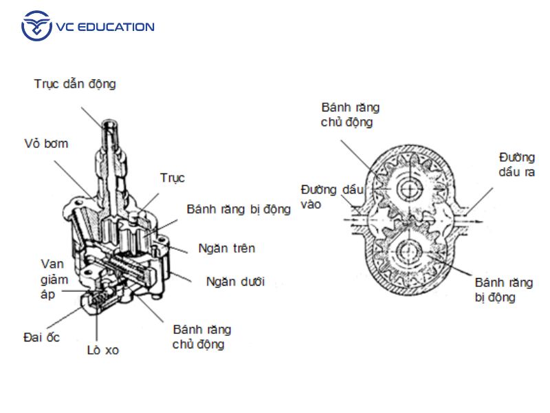 Bơm Dầu Ô Tô Là Gì? Cấu Tạo Và Nguyên Lý Hoạt Động