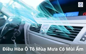 Điều Hòa Ô Tô Mùa Mưa Có Mùi Ẩm: Nguyên Nhân & Kiểm Tra