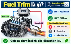 Fuel Trim Là Gì? Cách Đọc STFT, LTFT Để Chẩn Đoán