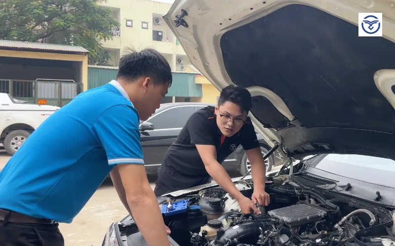 Lộ trình học kéo dài 12 tuần